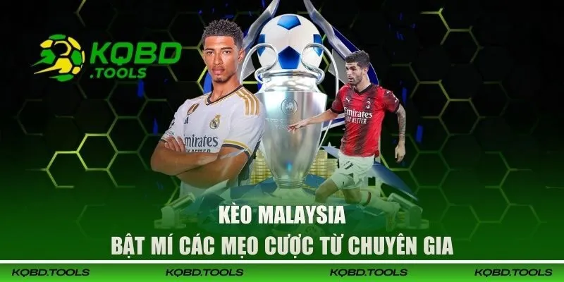 Kèo Malaysia - Bật Mí Các Mẹo Cược Từ Chuyên Gia Trong Giới 1 keo malaysia dai dien 1