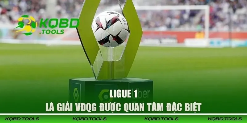 Ligue 1 là giải VĐQG được quan tâm đặc biệt